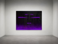 https://piotbrehmer.de/files/gimgs/th-130_purpleai.jpg